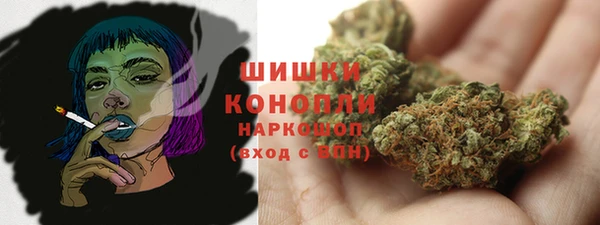 бошки Бородино