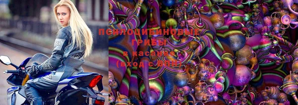 бошки Бородино