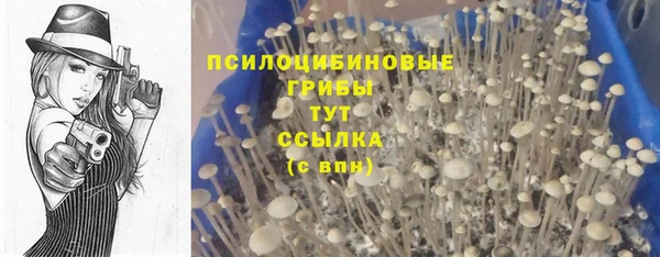 МДМА Бугульма