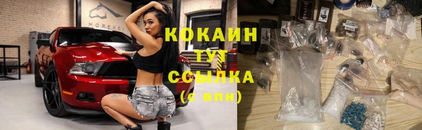 бошки Бородино