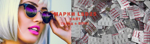 PSILOCYBIN Бронницы